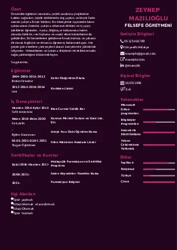 Felsefe Öğretmeni CV Örnekleri cv indir